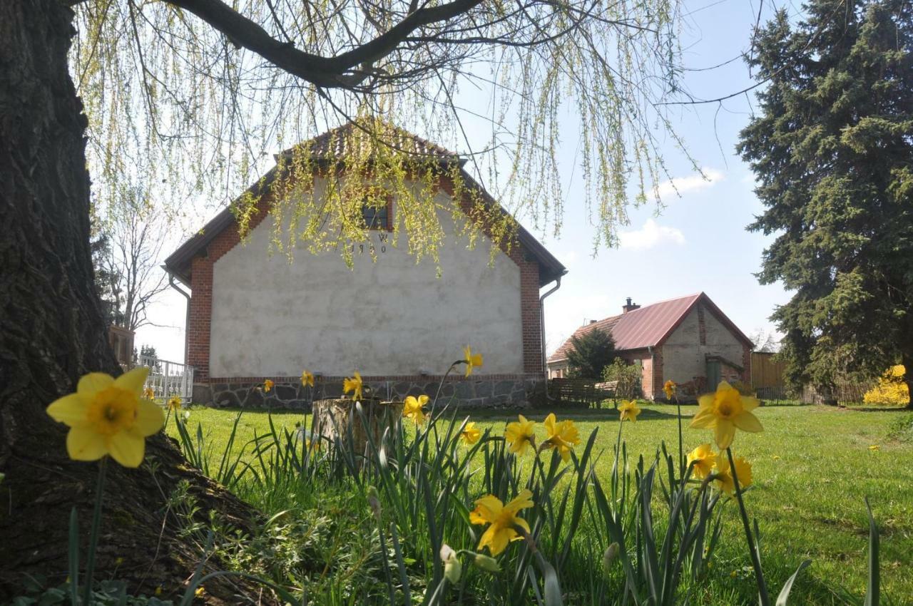 Ferienhaus Ilse-Bilse Neuhausen  Екстериор снимка